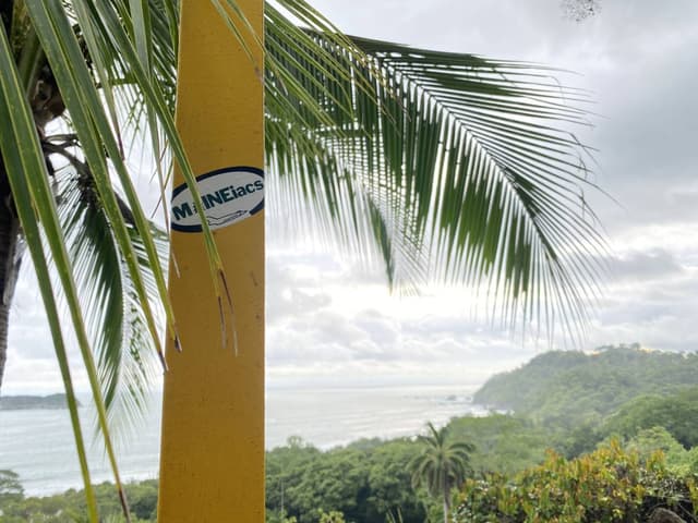 Photo by Markus M. (9/18/24)