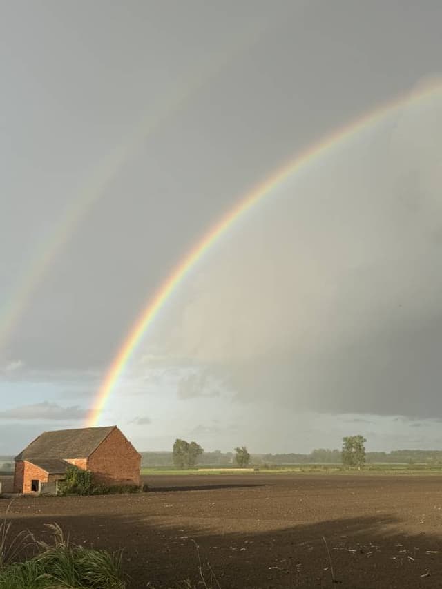 Foto 3 de Patricia A. (11/10/25)