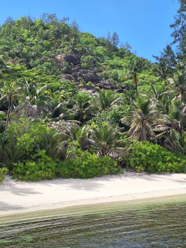 Photo 2 by Gunther N. (2/9/26)