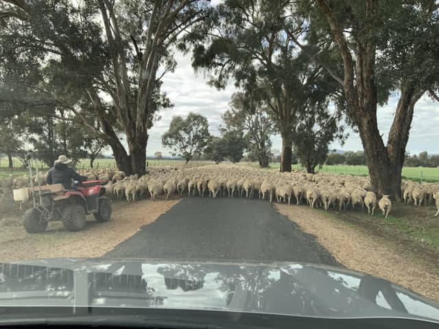 Photo 5 by Steven G. about renting a Mazda CX-5 in Perth (7/30/24)