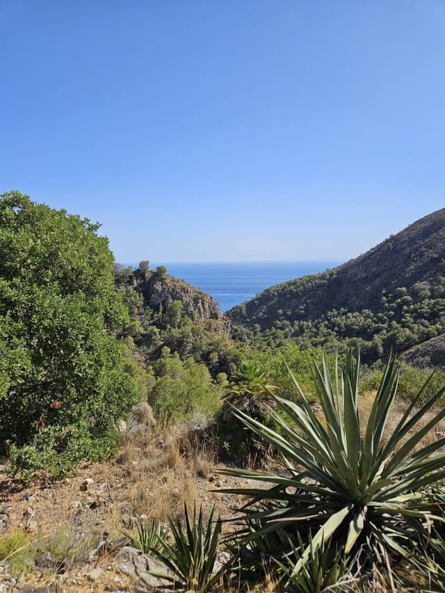 Photo 4 by Bianca D. about hiring a Nissan Juke in Malaga (30/07/24)