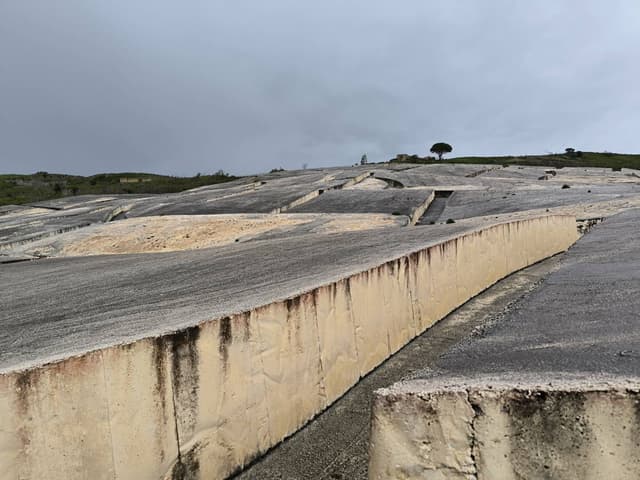 Foto 4 di Salvatore Vincenzo G. (08/04/26)