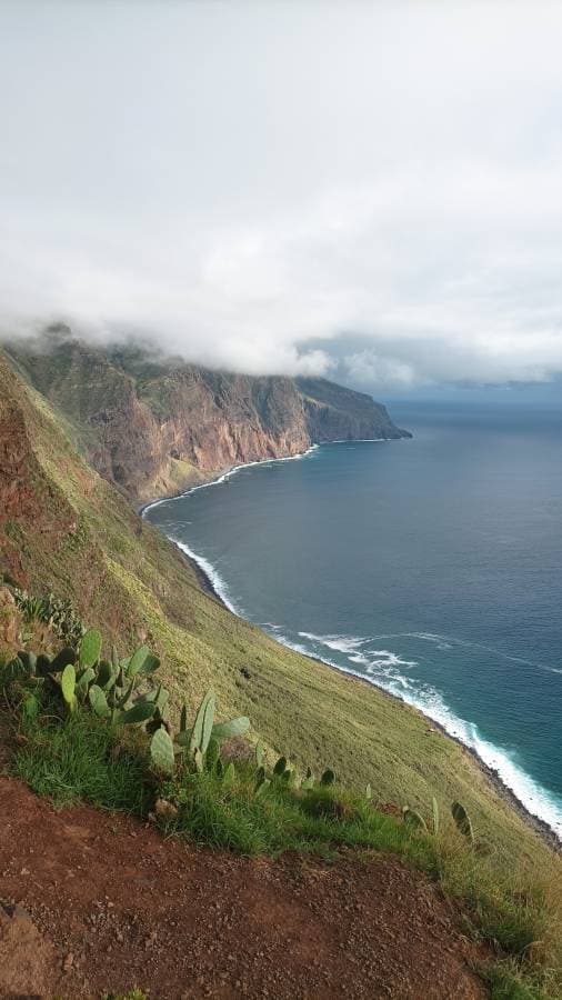 Foto 2 de Weberson P. sobre o aluguer de um Volkswagen Golf em Madeira (25/09/23)