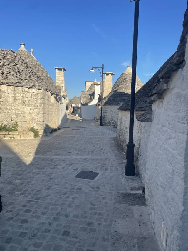 Photo 3 by Dan H. (5/25/26)