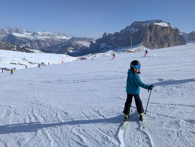 Photo by Vasile P. (3/16/26)