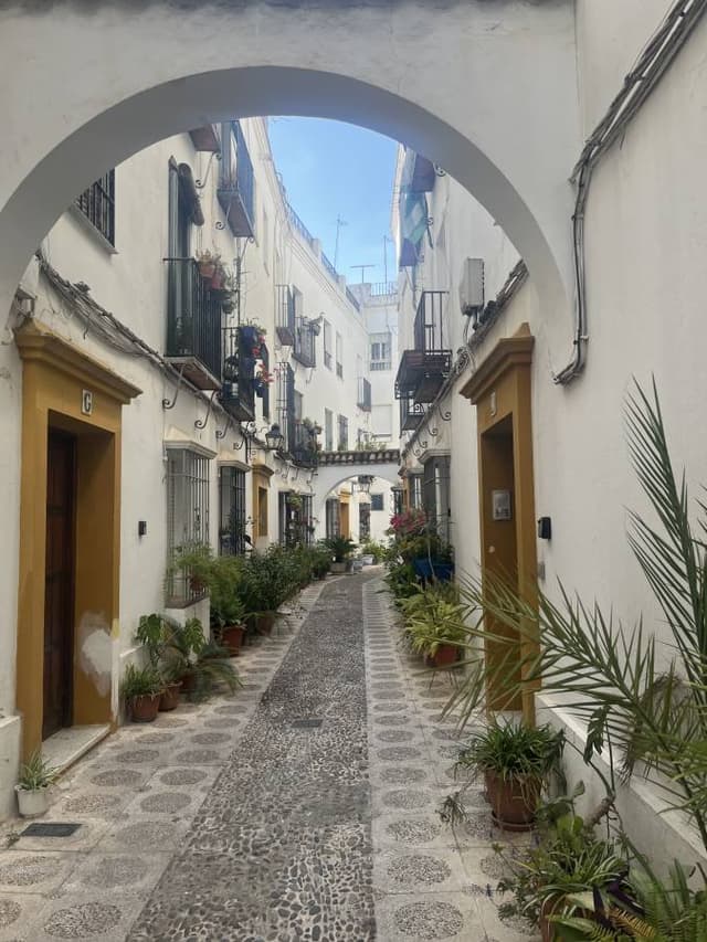 Photo 2 by Leslie S. (5/22/25)