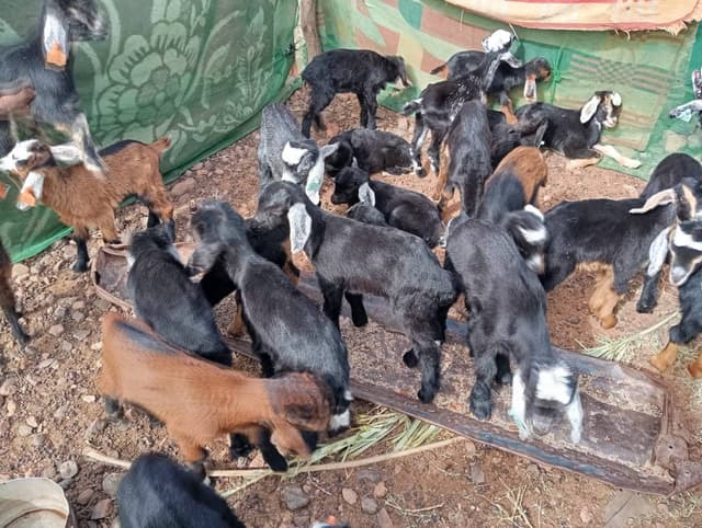 Photo 9 par Gilbert C. (28/01/26)