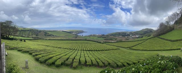 Photo 2 by Fernando P. about renting a Opel Corsa in Ponta Delgada (5/19/25)