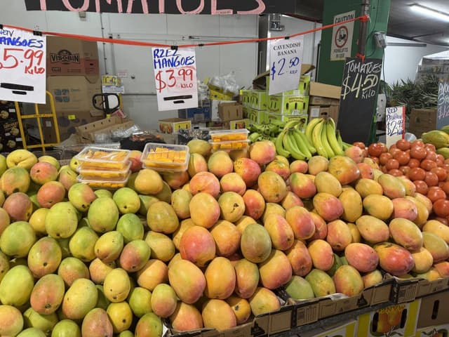 (25/11/24)のレンタルについて、Mansuke I. による写真 5