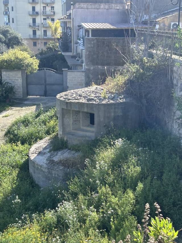 Photo 4 by Ralph C. (3/12/26)