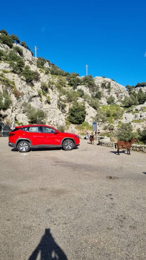 Foto od Miroslav C. o pronájmu Opel Corsa na Mallorce (12/15/24)