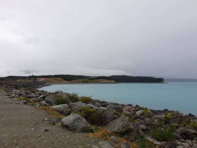 Photo 3 by Eng Tuan P. about hiring a Toyota RAV4 (2019-2021) in New Zealand (22.10.23)