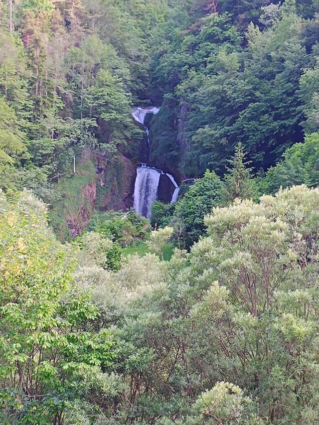 Foto 5 von Kornelius D. (16.6.26)