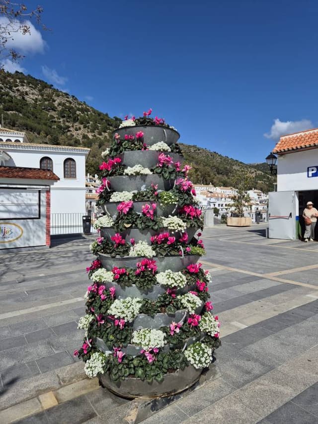 Foto 6 von Rudolf R. (5.3.25)