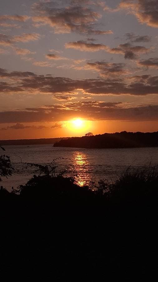 Foto 7 de Alexandre S. (12/09/24)