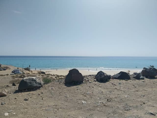 Foto 3 van Danielle V. (1-3-26)