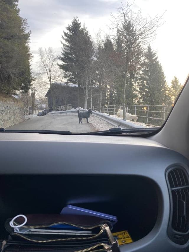 Photo 2 by Giorgia G. about hiring a Lancia Ypsilon at Turin Airport (30/12/22)