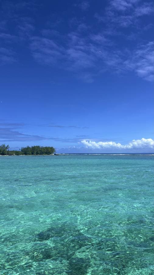 Photo 1 par Karine Q. (11/01/26)