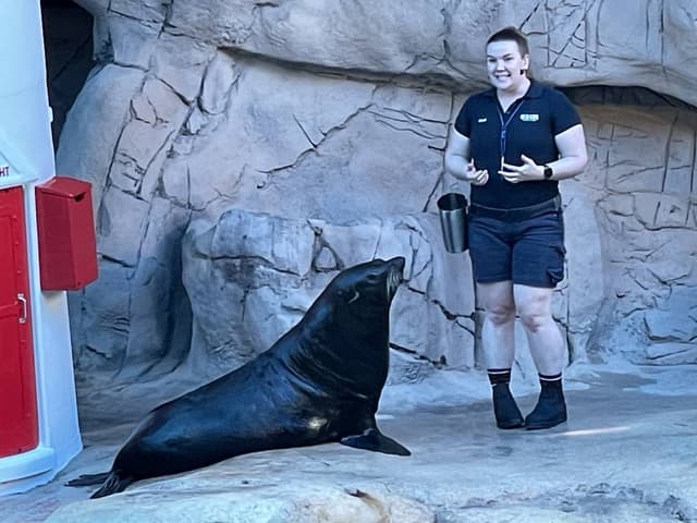 Photo 2 by Peminda J. (12/2/23)