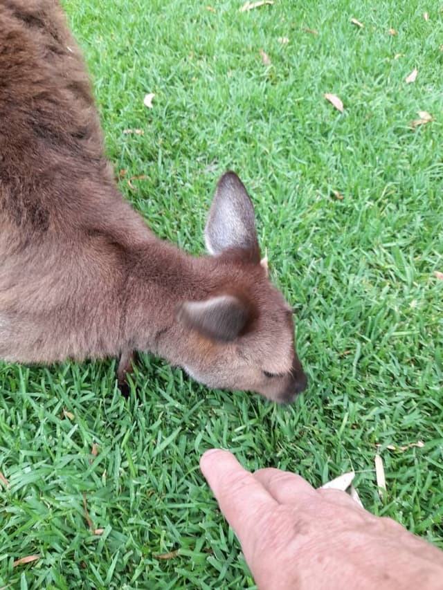 Foto 3 von Hermann Franz Xaver B. (25.12.25)