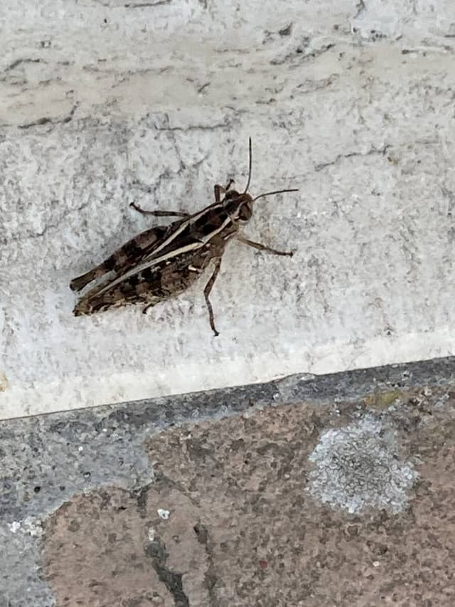 Foto 2 van John D. (1-8-23)