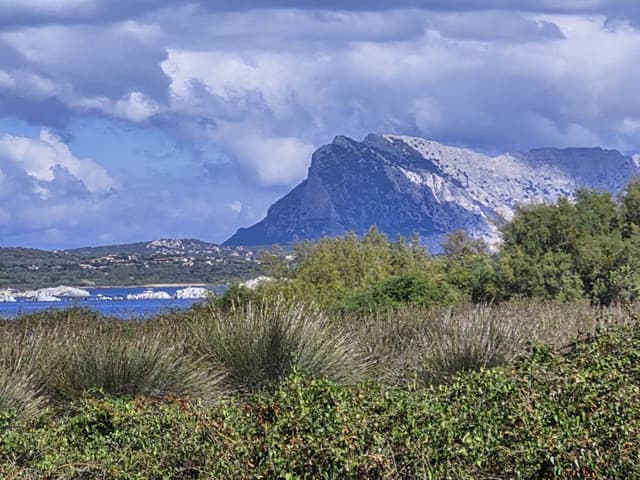 Photo by Susan L. (10/15/25)