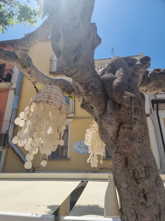 Foto 6 von Yasar C. (27.7.24)