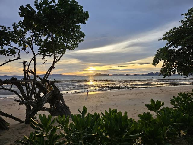 Photo 3 by Pei Yee S. (8/26/24)