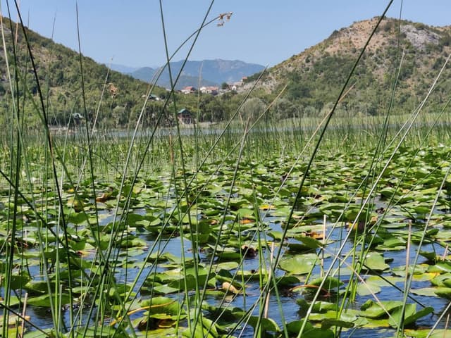 Photo 4 par Laetitia P. (20/08/24)