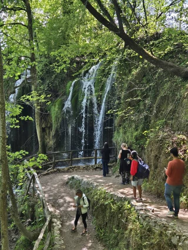 SANG YOUNG C.의 사진 3 (24. 5. 15.)