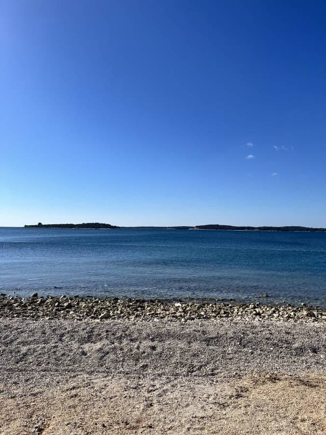 Photo 5 by John B. (10/18/25)