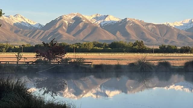 Photo 5 by james H. (11/20/25)