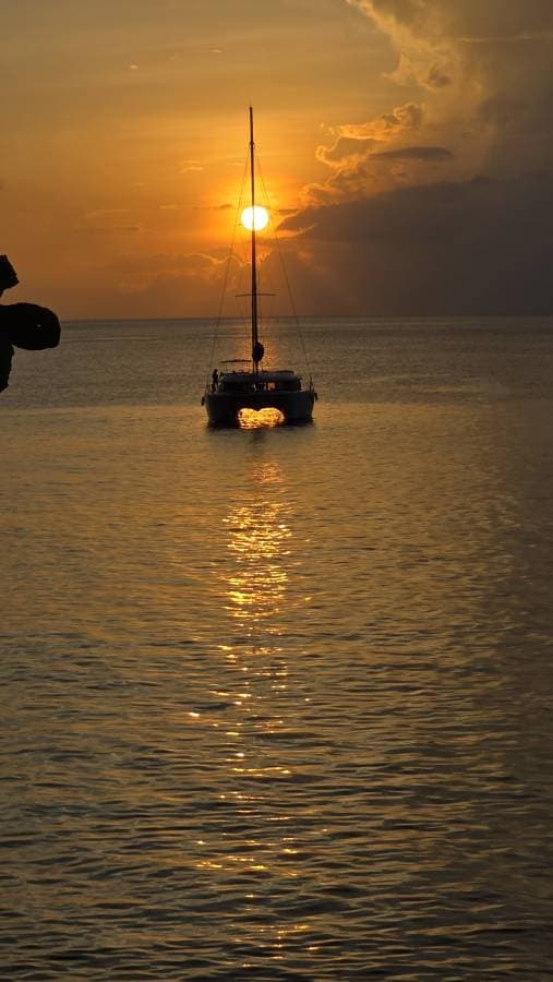 Photo par PATRICK L. (24/03/26)