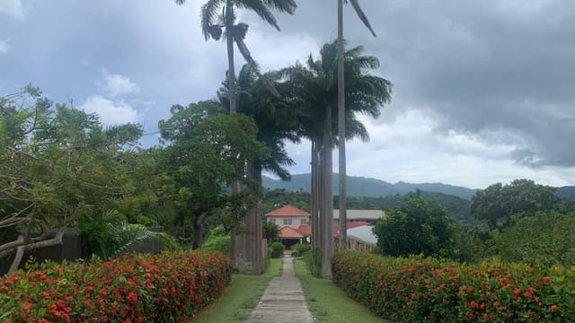 Photo 1 by Damian D. about hiring a Nissan Kicks in Grenada (03.11.23)