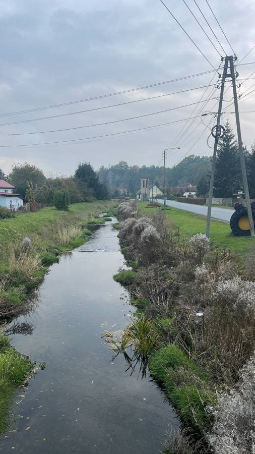 Zdjęcie 3 wykonane przez Arthur A. (20.10.22)