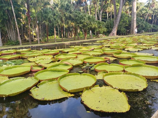 SANGJU L.의 사진 4 (25. 3. 14.)