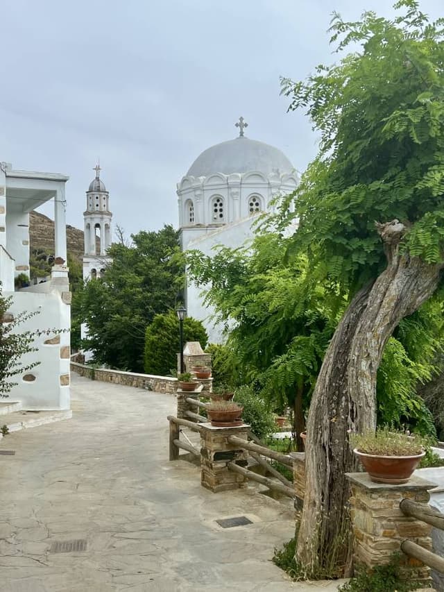 Photo 6 by Lisa B. about renting a Toyota Yaris at Tinos Port (6/17/24)