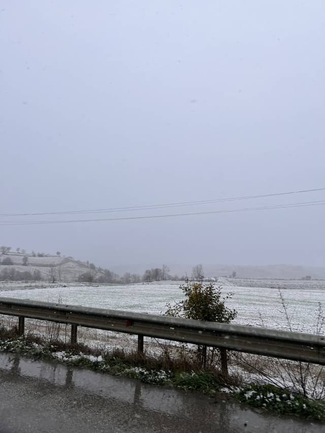 Photo 4 by ROSELEE B. (1/3/26)