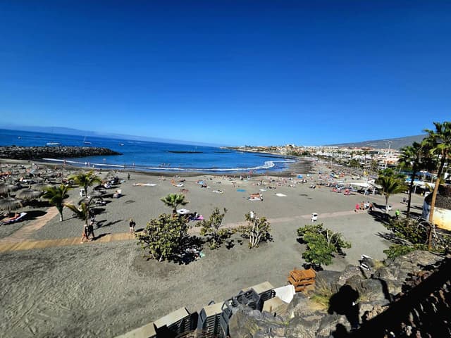 Foto di Massimo C. (13/02/26)