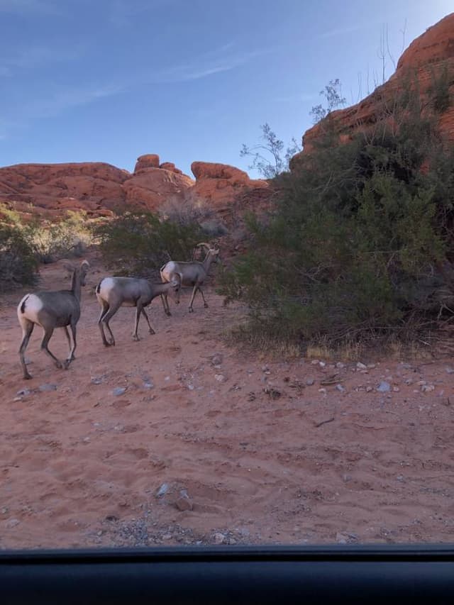 Photo 1 by Terry S. (10/31/23)