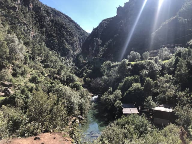 Photo 1 by Michel H. (2/25/24)