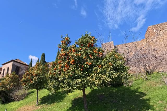 Zdjęcie 5 wykonane przez Marek L. (15.02.26)