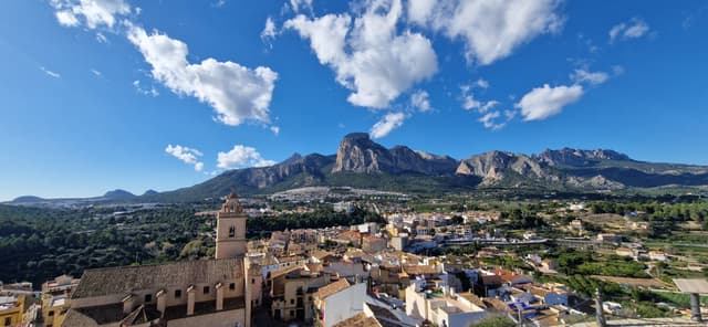 Foto 3 van Serina R. (7-2-26)