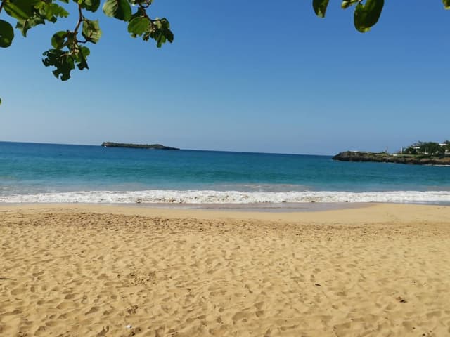 Photo 3 par Patrick L. (22/03/24)