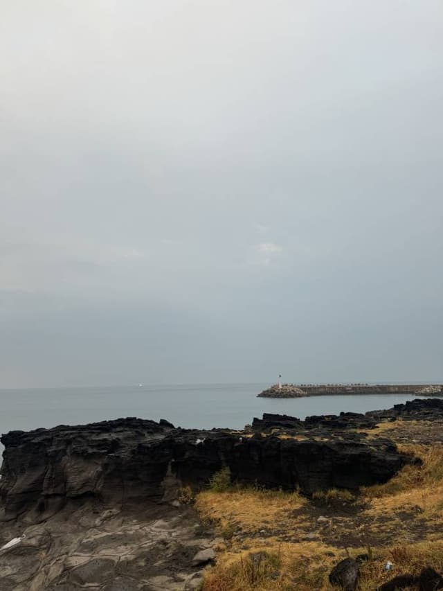 Photo 5 by Phoebe T. (9/10/24)