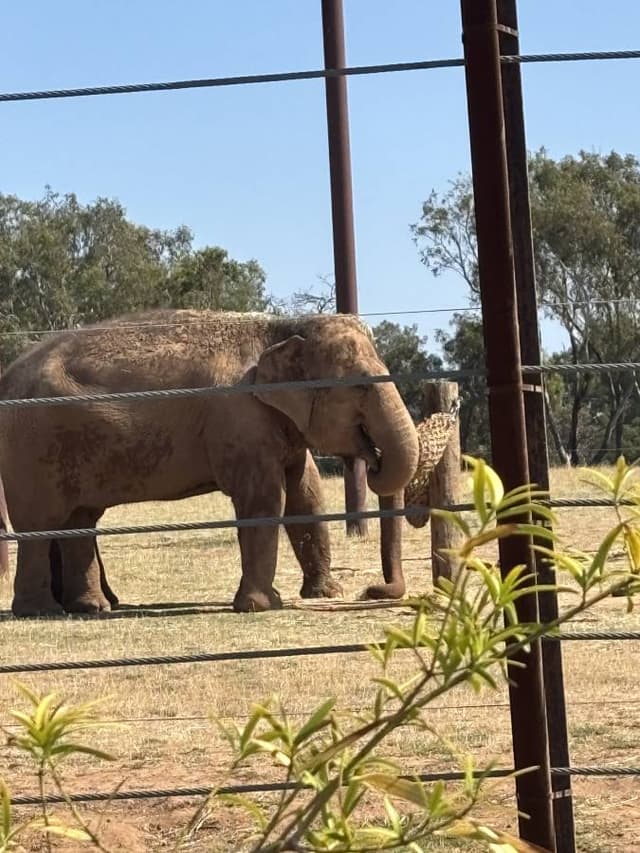 Photo 3 by Rodney C. (2/16/26)