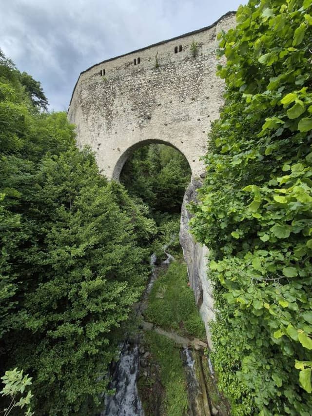 Photo 4 by Oleksandr Z. (6/1/24)