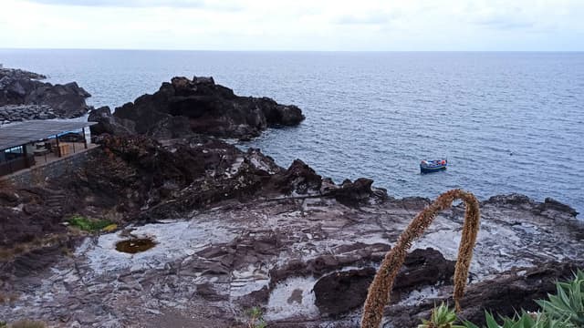 Foto 5 de CLARA S. sobre o aluguer de um Volkswagen Polo em Madeira (23/09/24)