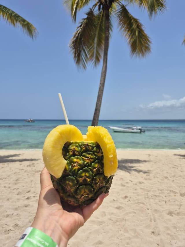 Foto 6 von Binisio S. über die Anmietung eines Suzuki Vitara in der Dominikanischen Republik (13.8.25)