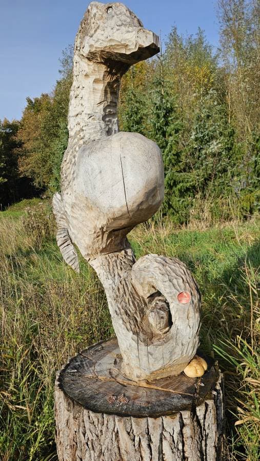 Foto 3 van zerrin G. (15-11-25)